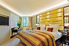 The Montcalm 